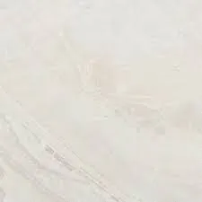 1000008544.webp