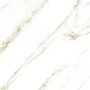 1000433481.webp