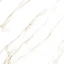 1000433479.webp