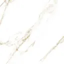 1000433480.webp