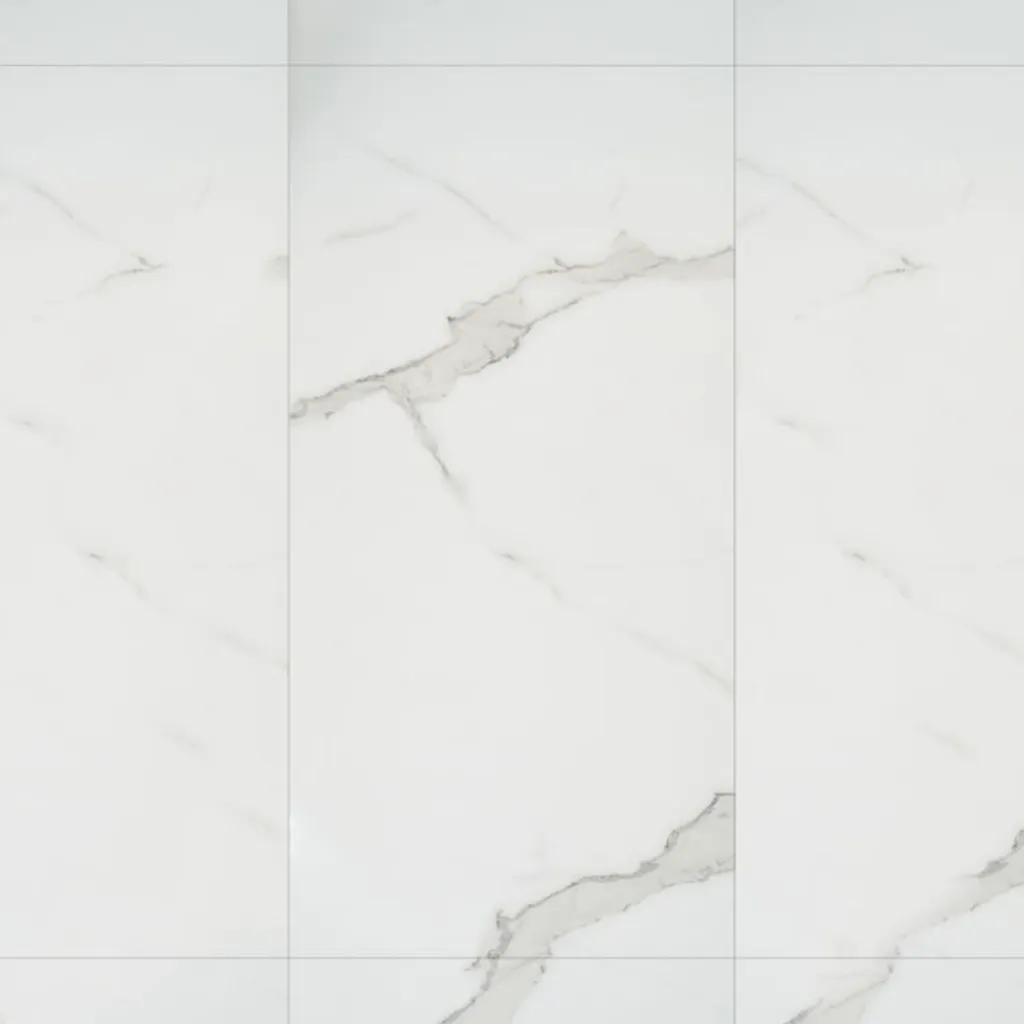 1000443017.webp