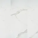 1000443017.webp