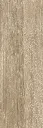 1000337581.webp