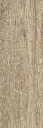 1000337579.webp