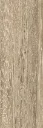 1000337577.webp