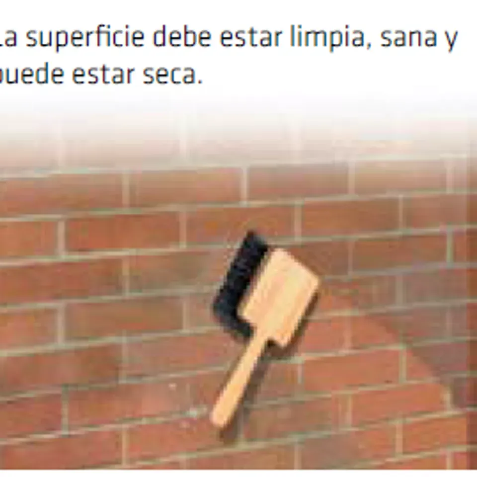 1000341533.webp